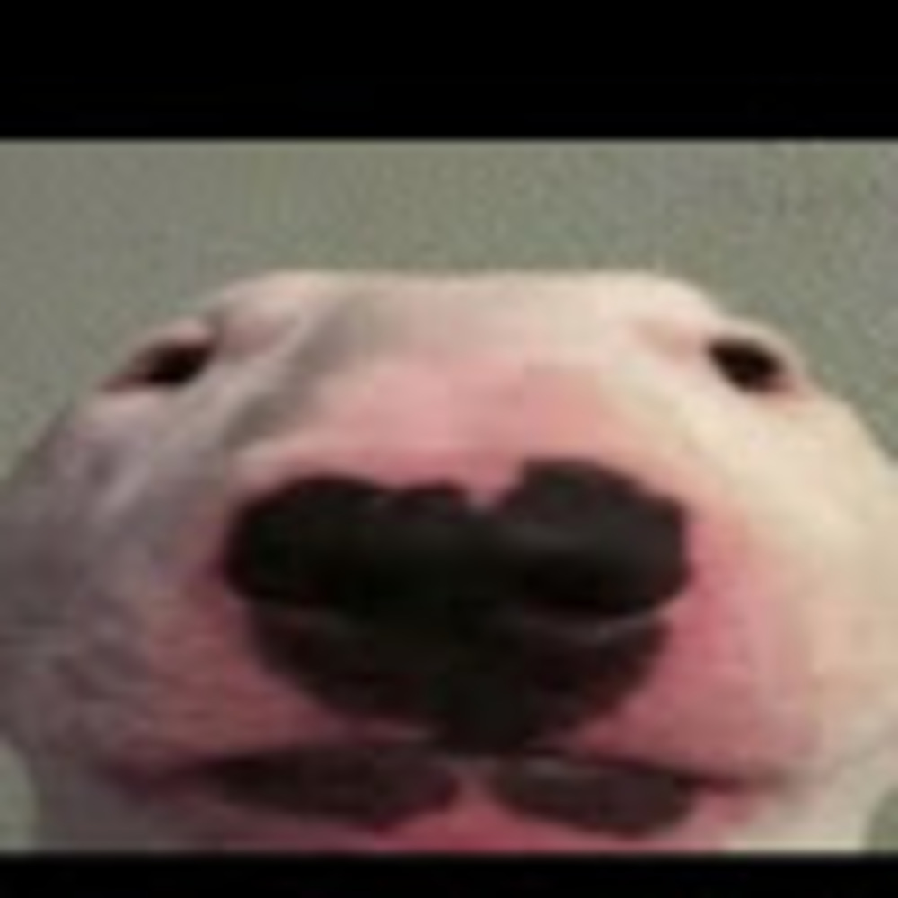 Meet your Posher, Gghosti